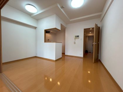 スカイコートヌーベル入谷 室内 室内