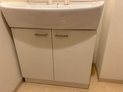 スカイコートヌーベル入谷 洗面 洗面
