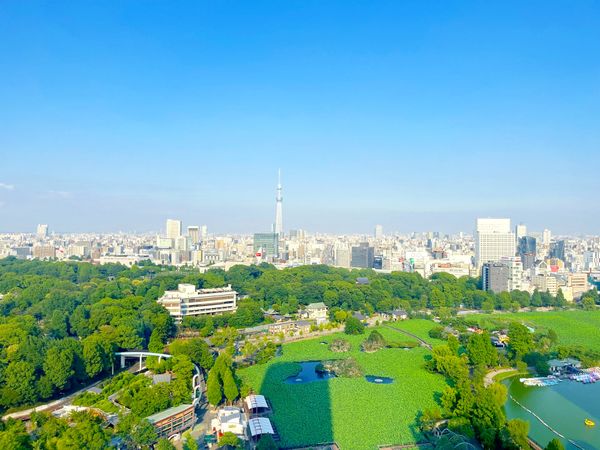 ルネッサンスタワー上野池之端 眺望 ルネッサンスタワー上野池之端 眺望