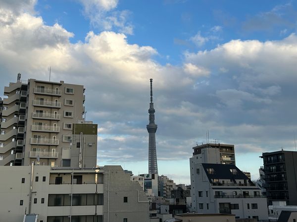 眺望
