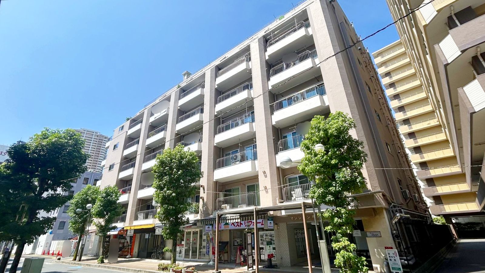 外観