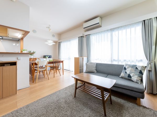 ダイアパレス市川 リビング ダイアパレス市川 リビング