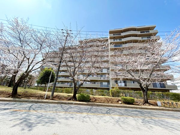 千葉ニュータウントリアス・パークテラス 外観 千葉ニュータウントリアス・パークテラス 外観