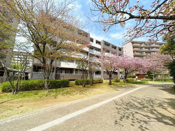 桜苑弐番街1棟 外観 桜苑弐番街1棟 外観