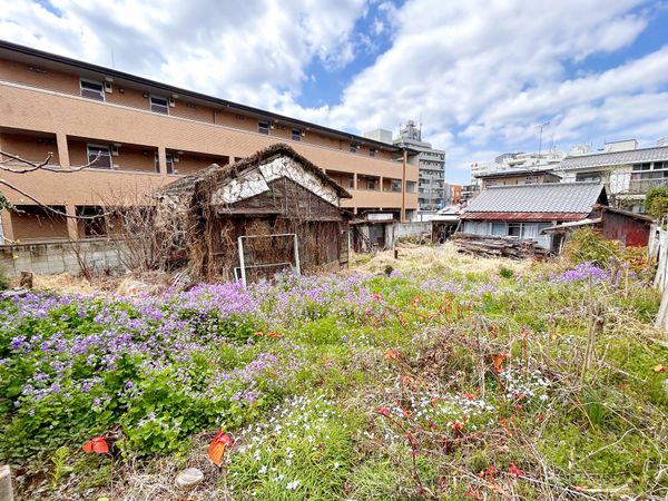 柏市東1丁目 土地 土地写真