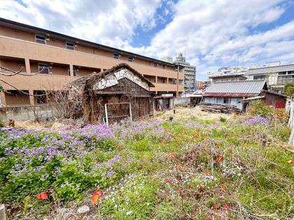 柏市東1丁目 土地 土地写真