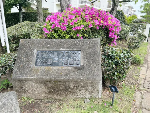 その他現地