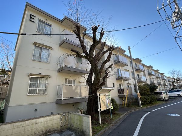 柏グリーンハイツ E棟 外観 柏グリーンハイツ E棟 外観
