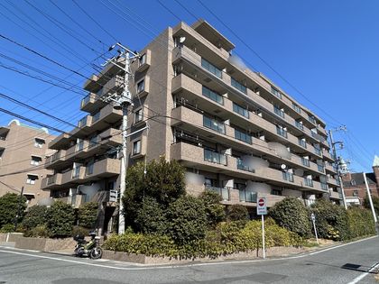 ルイシャトレ柏アクシス72 外観