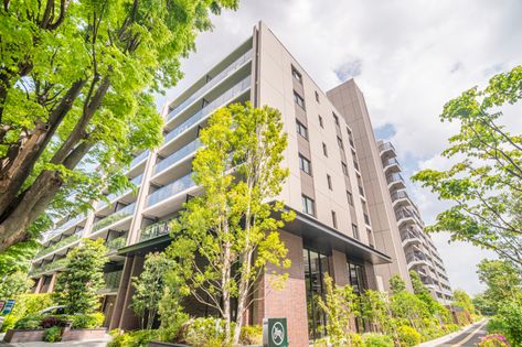 シティテラス柏 外観