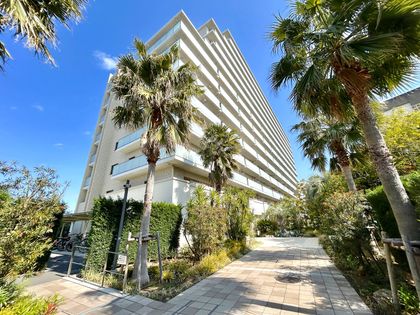 ルピアグランデ柏 外観