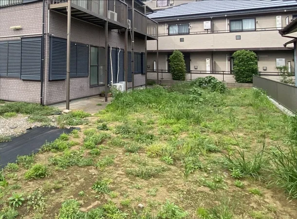 庭