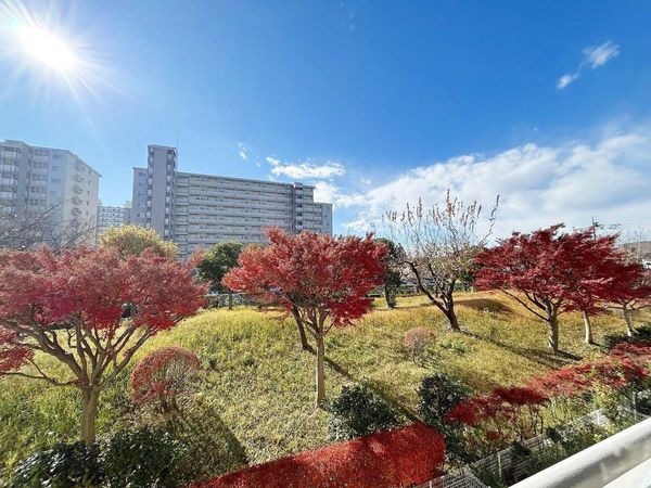 新松戸西パークハウス D棟 眺望