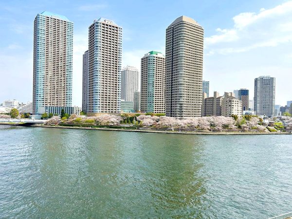 パークシティ中央湊 ザレジデンス 眺望