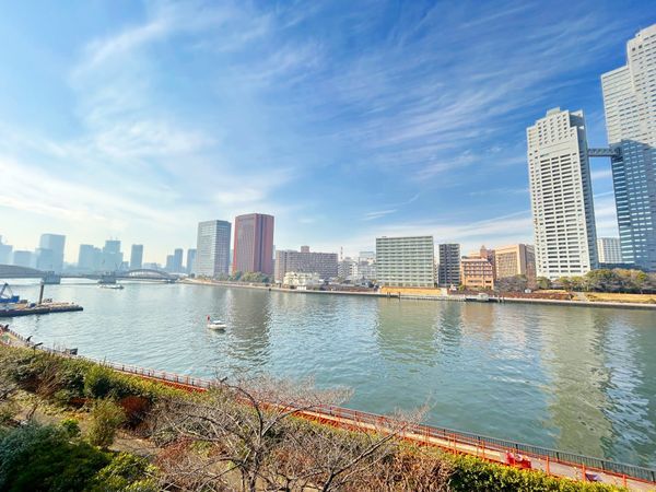 月島リバーハウス B棟 眺望