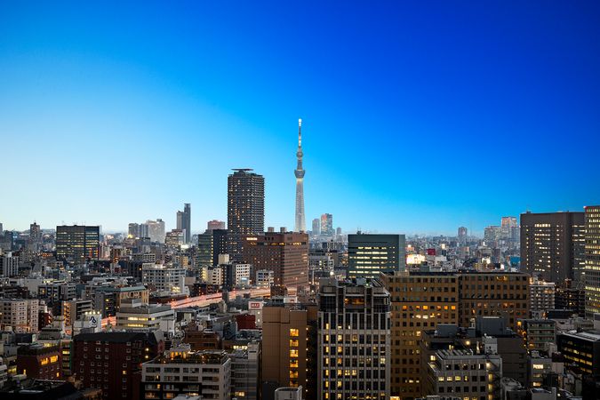 ブリリアザ・タワー東京八重洲アベニュー 眺望