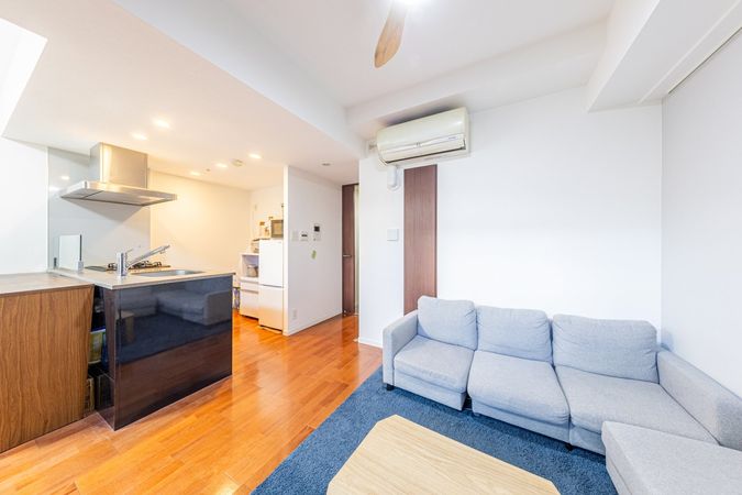 THEパームス月島ルナガーデン リビング