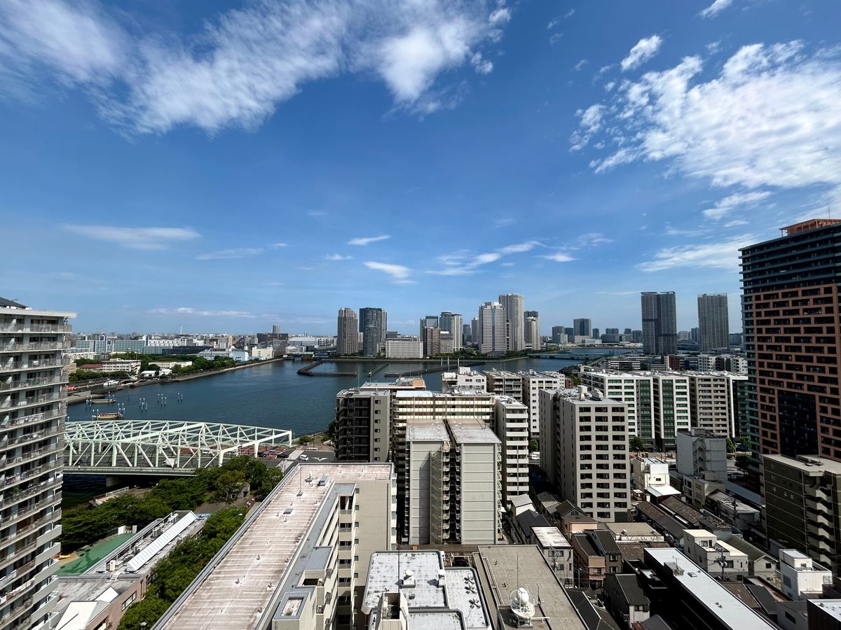 ザ・クレストタワー 眺望 眺望