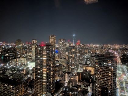 CAPITAL GATE PLACE THE TOWER 眺望