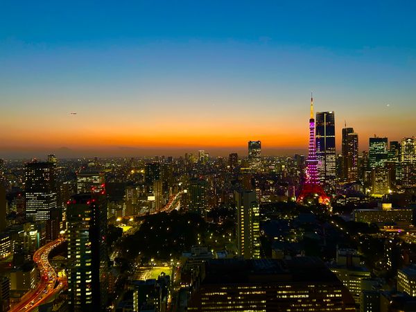 WORLD TOWER RESIDENCE 眺望