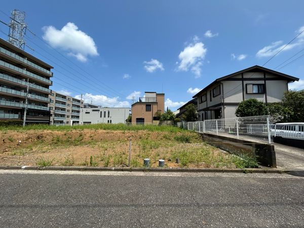 桜並木 土地 土地写真 桜並木 土地 土地写真