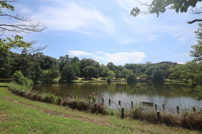 徳生公園：中央の池は、くさぶえのみちを流れる小川が流れ込み、魚や鳥、いろいろな生物と出会うことができます