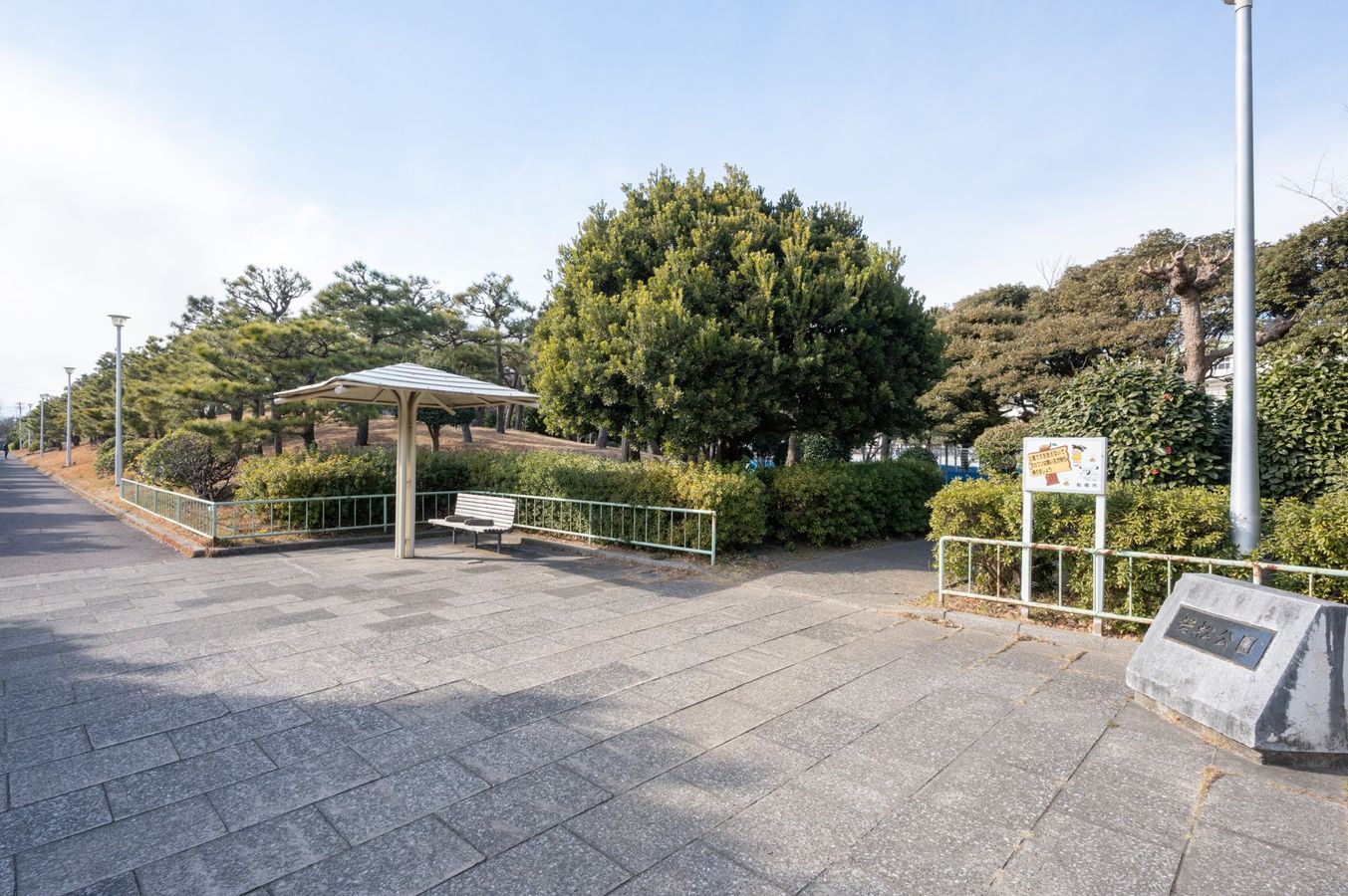 若松公園（約300ｍ）