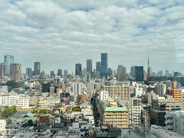 白金ザ・スカイ 西棟 眺望