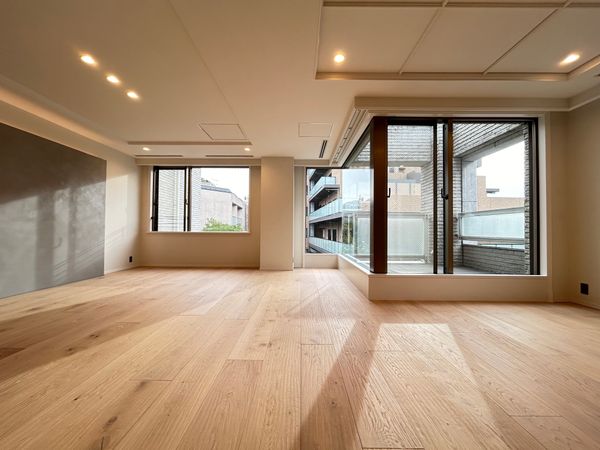 南青山高樹町パーク・マンション リビング リビング