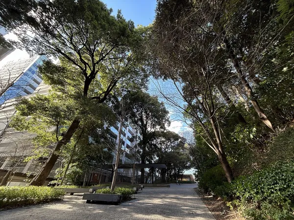 敷地北側の保全緑地「フォレストインフォレスト」＼長さ約１４０ｍに及ぶ保全緑地