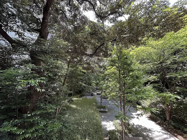 敷地北側に長さ約１４０ｍに渡り広がる保全緑地（フォレストインフォレスト）