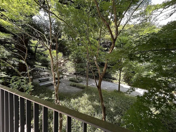 敷地北側の保全緑地：フォレスト棟側のエントランス付近にて撮影