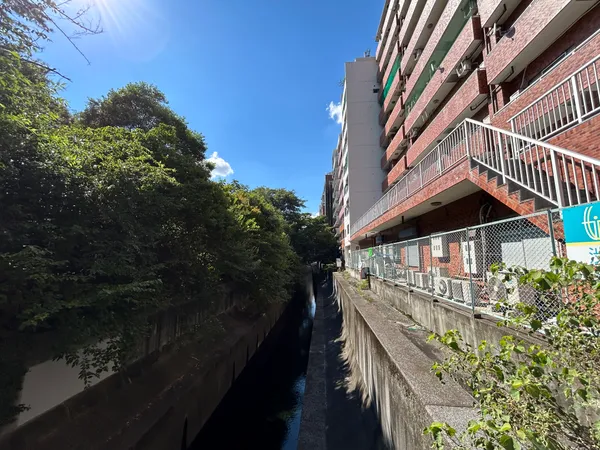 物件裏手「渋谷川」