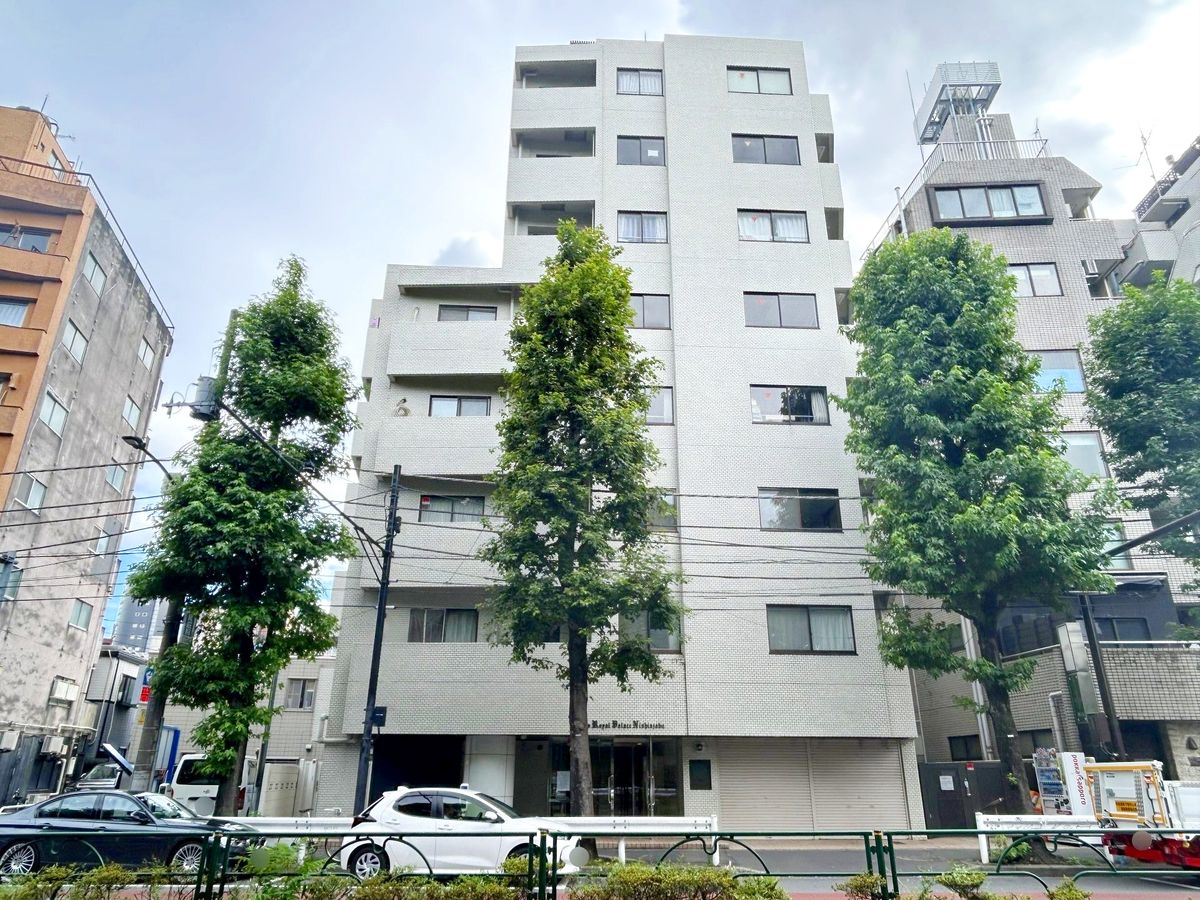 日興ロイヤルパレス西麻布 眺望 眺望