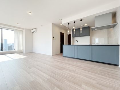 シティタワーズ豊洲ザ・シンボル リビング