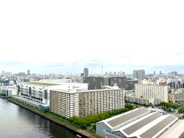 シティタワーズ豊洲ザ・ツイン サウスタワー 眺望
