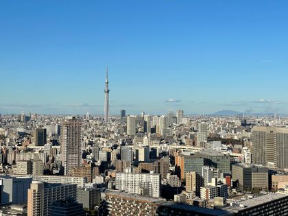 シティタワーズ豊洲ザ・ツイン ノースタワー 眺望 シティタワーズ豊洲ザ・ツイン ノースタワー 眺望