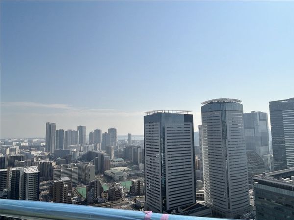 THE TOYOSU TOWER 眺望 THE TOYOSU TOWER 眺望