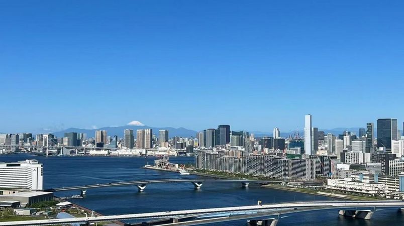 ブランズタワー豊洲 眺望