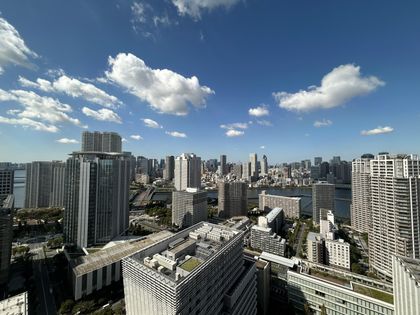 シティタワーズ豊洲ザ・シンボル 眺望 シティタワーズ豊洲ザ・シンボル 眺望