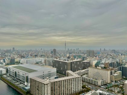 シティタワーズ豊洲ザ・ツイン サウスタワー 眺望