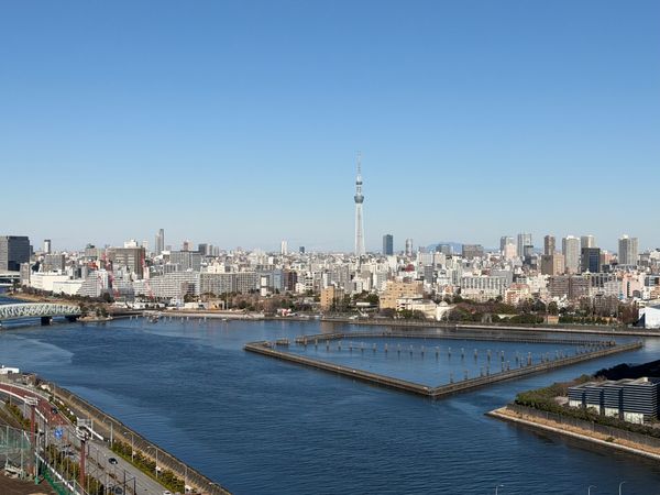 パークタワー晴海 眺望