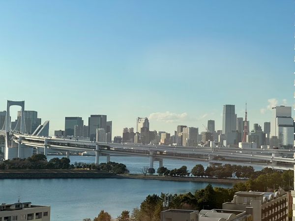 THE TOWERS DAIBA EAST 眺望