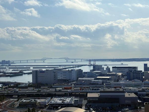 パークタワー東雲 眺望