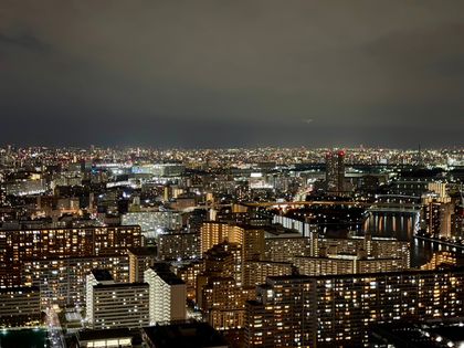 ブランズタワー豊洲 眺望