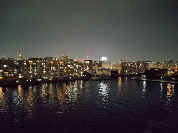 バンベールルフォン辰巳 眺望