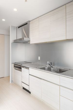 THE TOYOSU TOWER キッチン