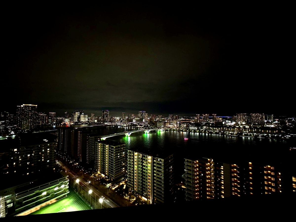 HARUMI FLAG PARK VILLAGE T棟 眺望 眺望