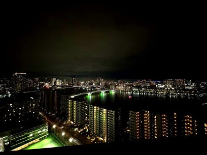 HARUMI FLAG PARK VILLAGE T棟 眺望 眺望