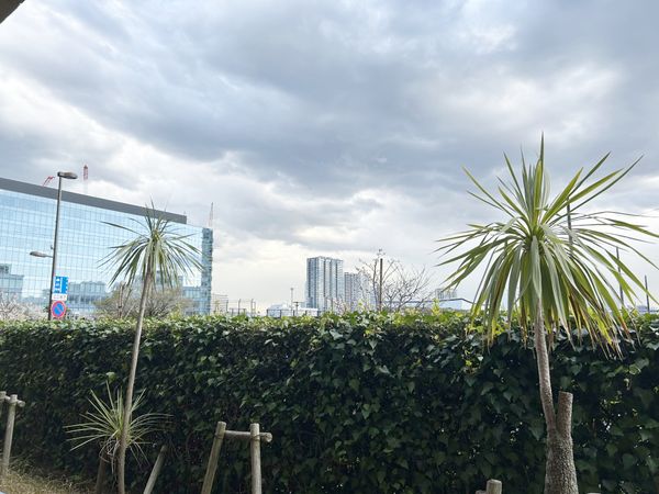 オーベルグランディオ ベイ・フロント 眺望 オーベルグランディオ ベイ・フロント 眺望